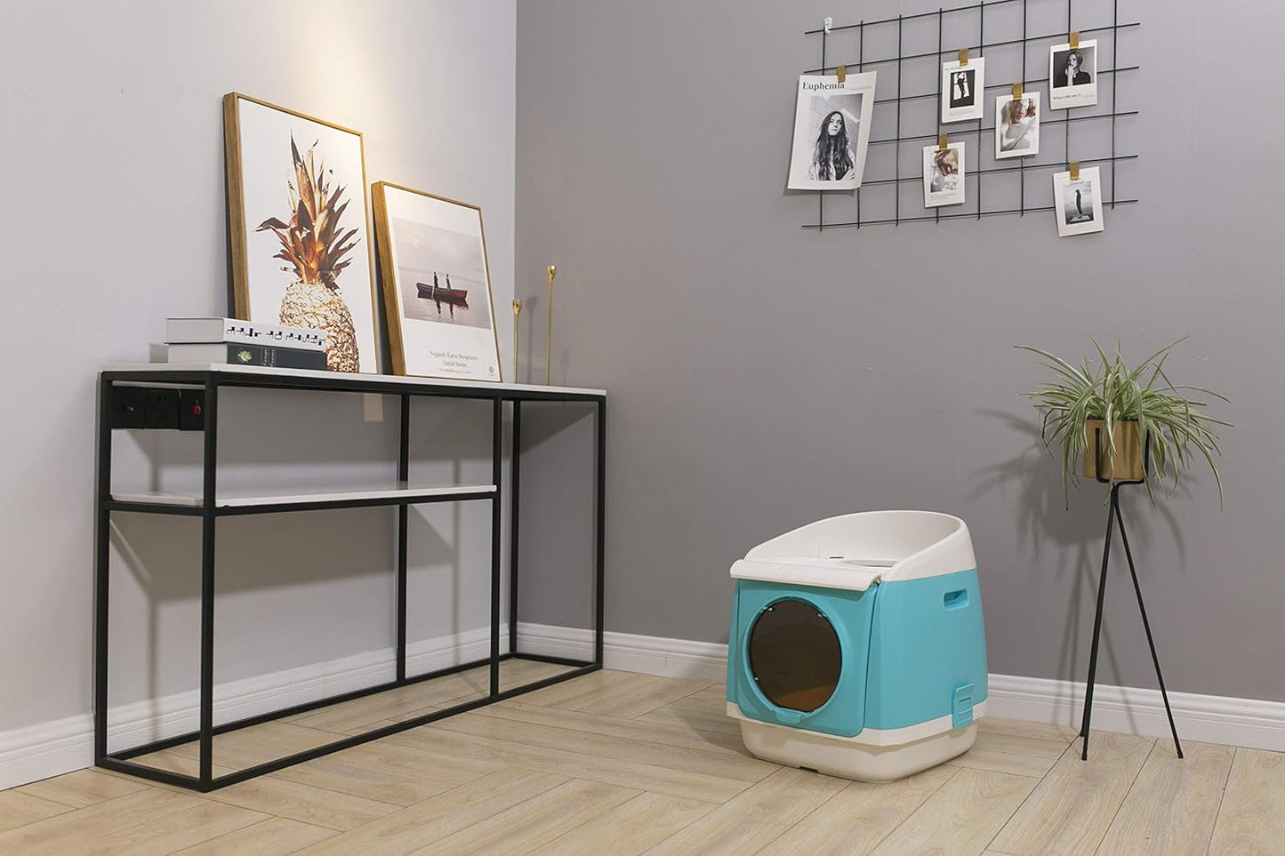 Cat Litter Box