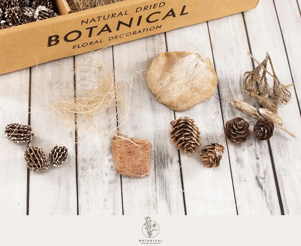 Botanical Garden Decorative Dried Plant Set