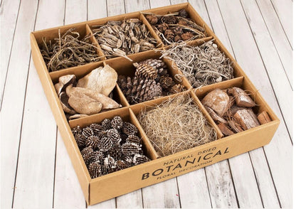Botanical Garden Decorative Dried Plant Set