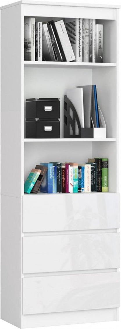 Modern Minimalist Bookcase