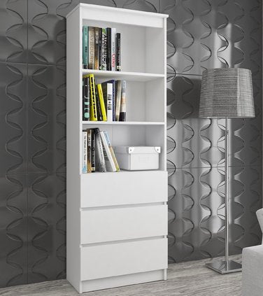 Modern Minimalist Bookcase