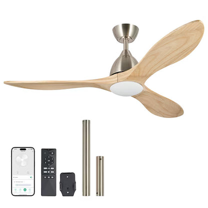 Smart LED Ceiling Fan