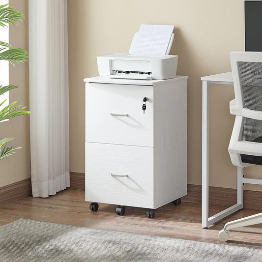 VASAGLE Filing Cabinet with 2 Drawers