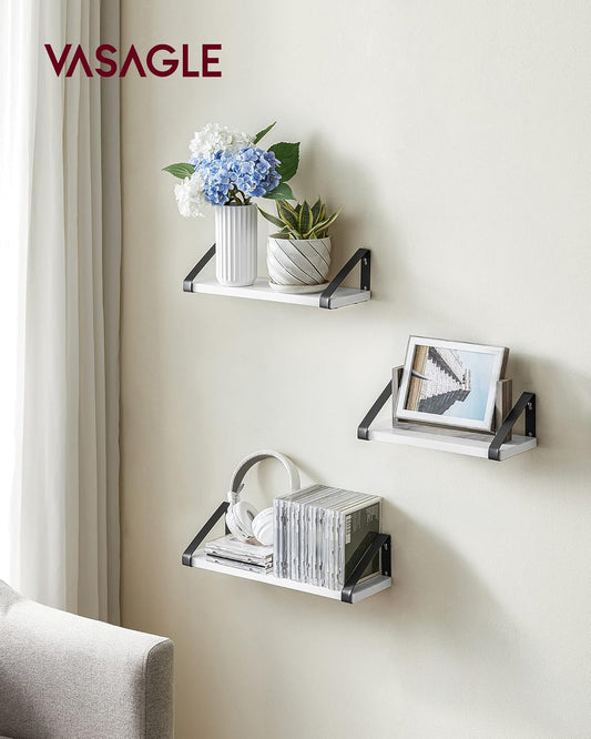 VASAGLE Set of 3 Wall Shelves LWS033B11