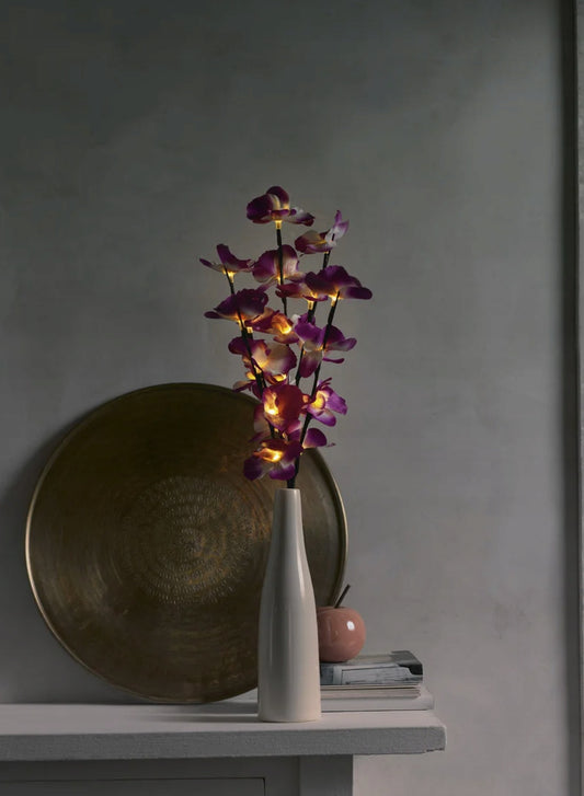 LIVARNO home Decorative LED Orchid in Ceramic Vase