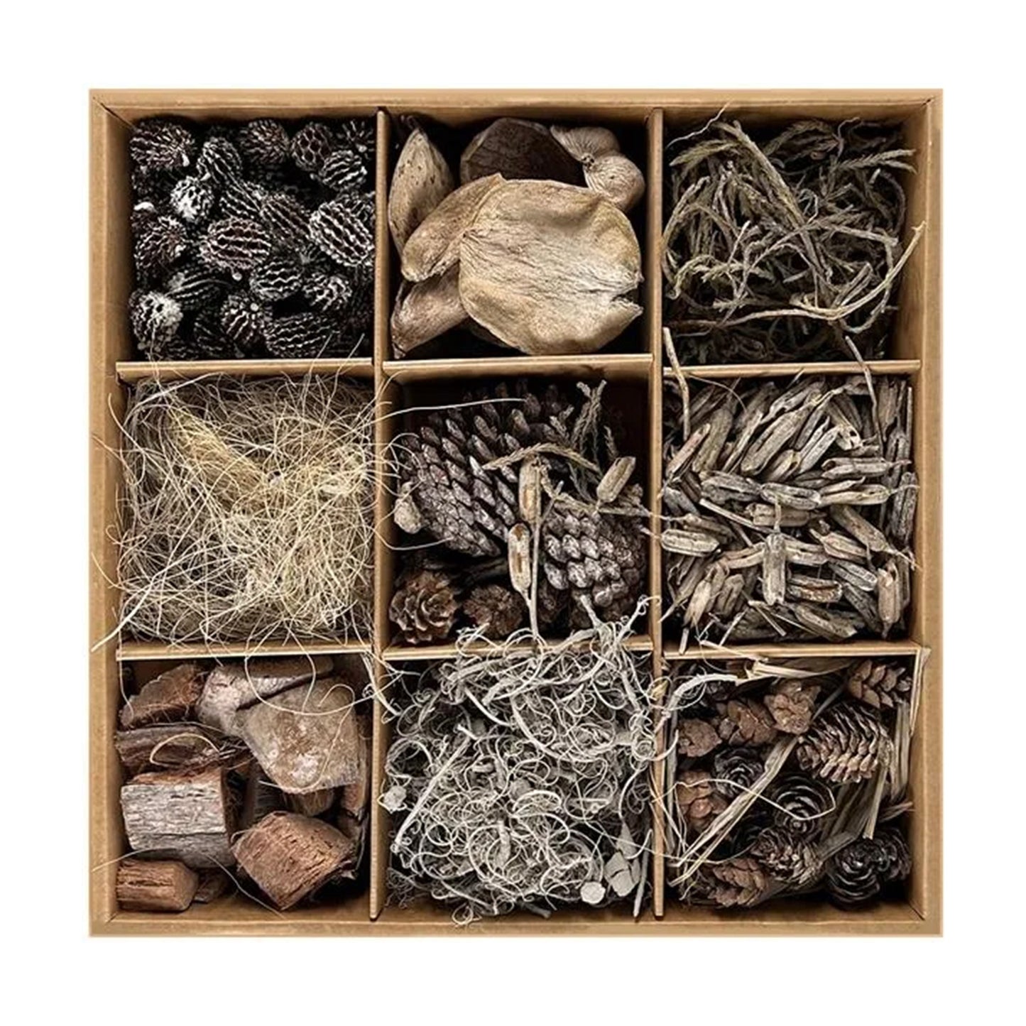 Botanical Garden Decorative Dried Plant Set
